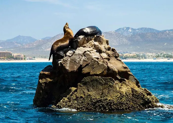Cabo Private By Stephen Ostler Elite Luxe Member * San José del Cabo